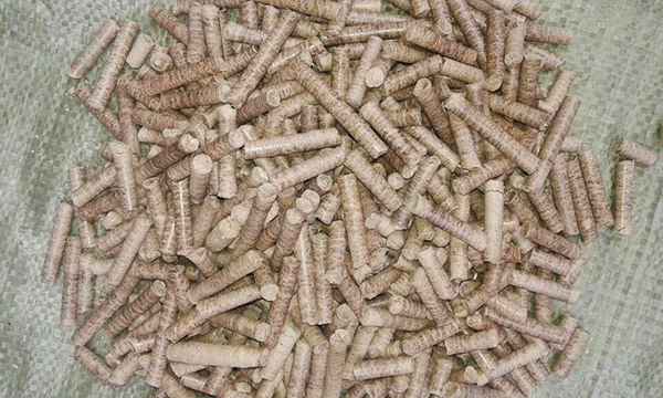 生物質(zhì)燃料